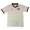 Officiële Voetbalshirt São Paulo Special 2024-25 - Heren